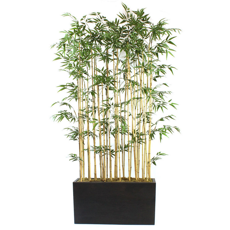 Dalmarko Designs Bamboo Floor Plant in Planter Wayfair.ca