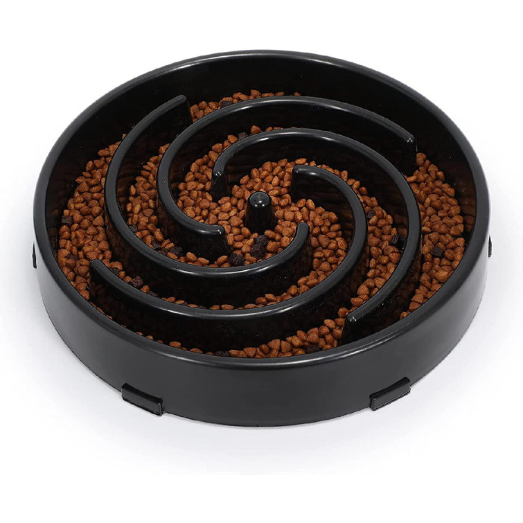 spiral dog dish