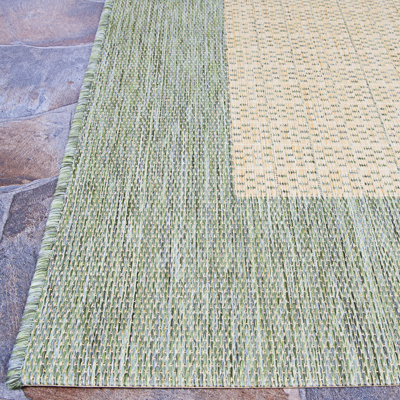 Celia Moss Green Tan Indoor Outdoor Area Rug Reviews Joss Main