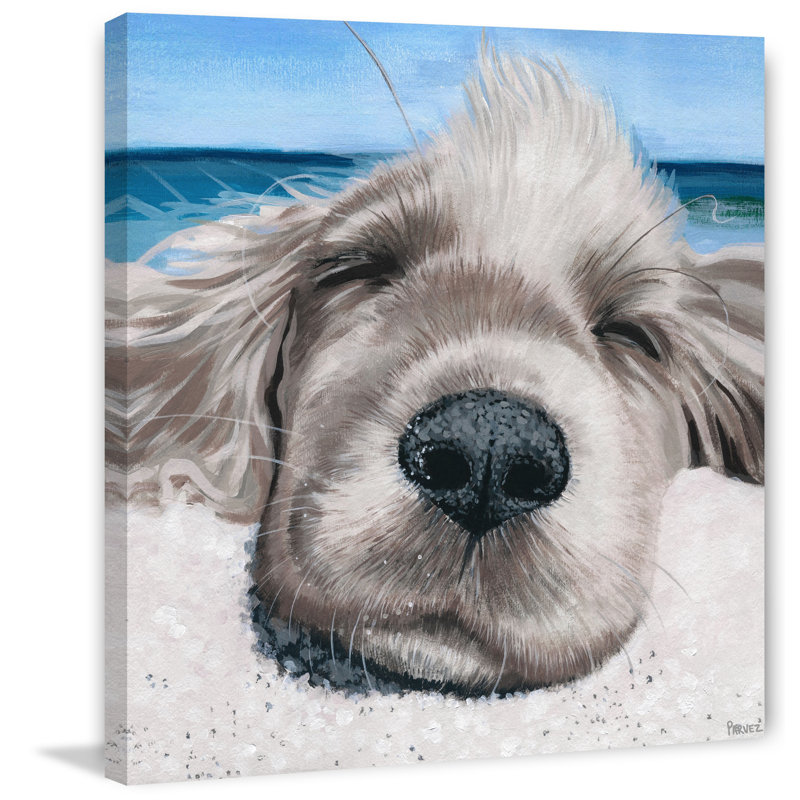 Highland Dunes Relaxing Dog By Parvez Taj Wrapped Canvas