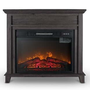 Craigmillar Freestanding Electric Fireplace By Winston Porter