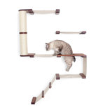 Hanging Cat Condos Cat Trees You Ll Love In 2020 Wayfair