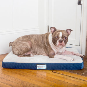 Beautyrest Thera Bed Orthopedic Memory Foam Dog Bed