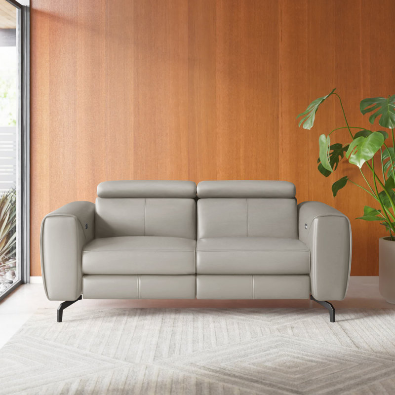 ( incomplete only 1 box)Gonsalez 70" Square Arm Reclining Loveseat Fabric: Light Gray Genuine Leather