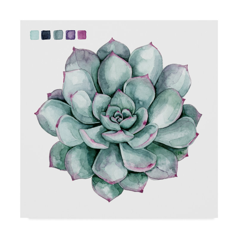 Bungalow Rose Succulent Swatches Ii Watercolor Painting Print On