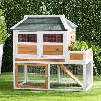 Innovation Pet Coops And Feathers Superior Chicken House With