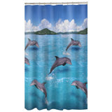 Dolphin Bathroom Wayfair
