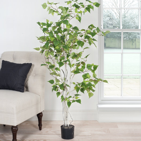 Lighted Indoor Tree Wayfair