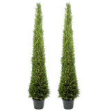 Cone Topiary Wayfair