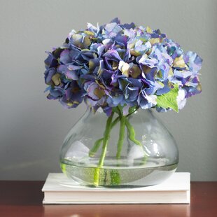 View Blooming Hydrangea in