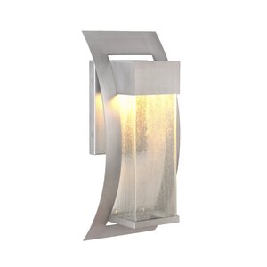 Oakhill 1-Light Outdoor Metal Wall Lantern