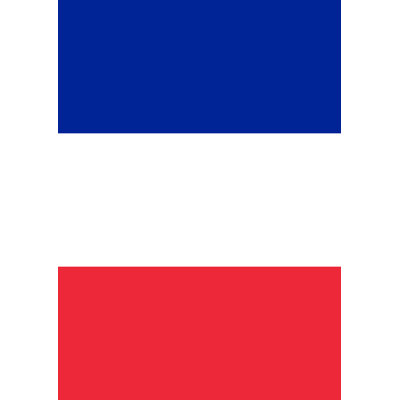 France Garden flag Toland Home Garden