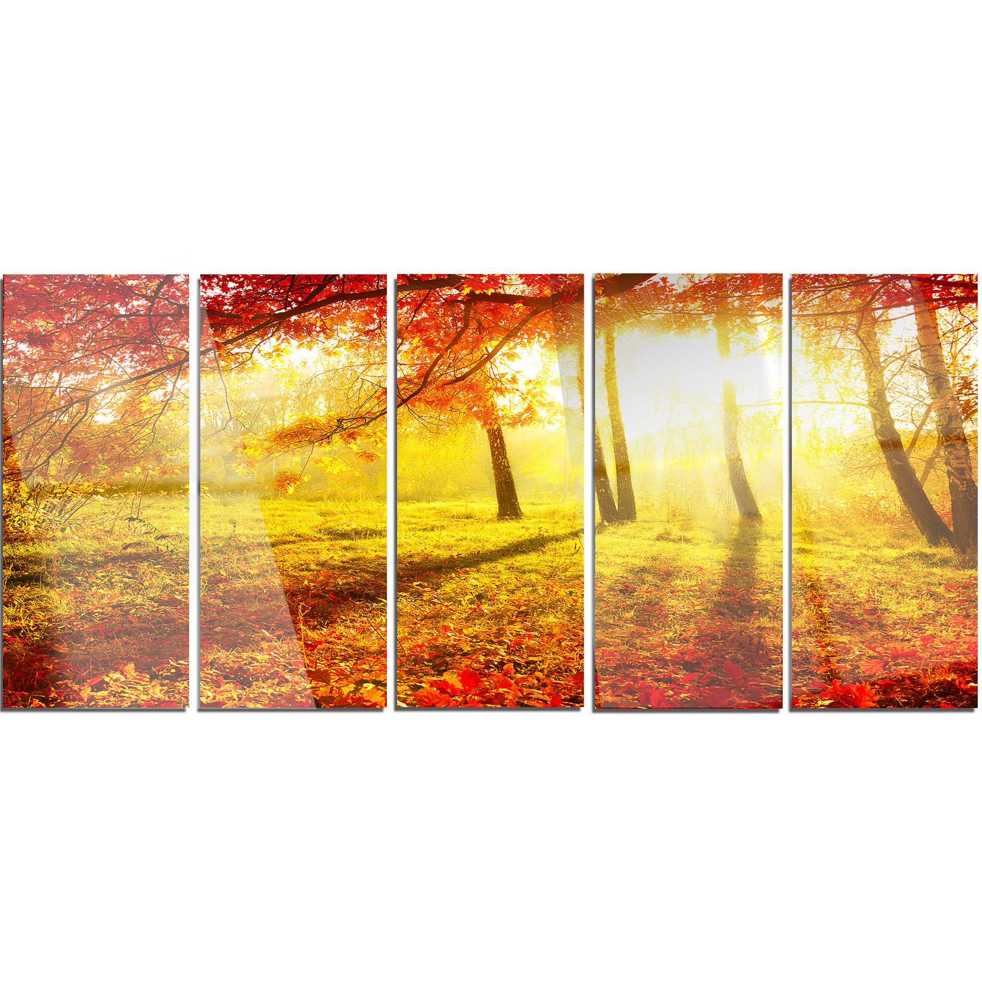 Designart Yellow Red Fall Trees And Leaves 5 Piece Photographic Print On Metal Set Wayfair