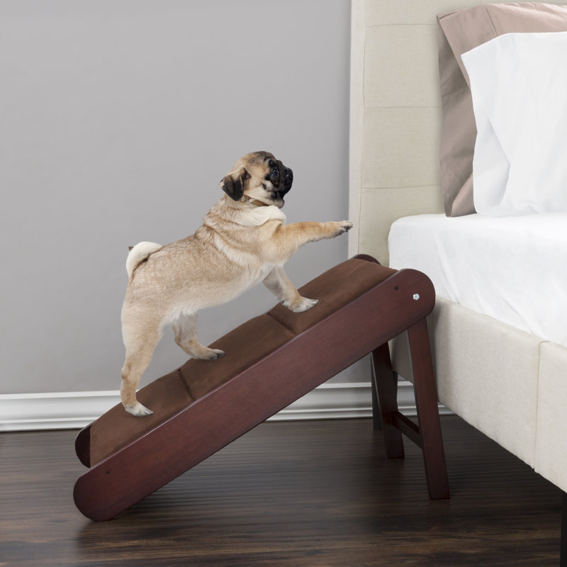 Archie Oscar Starla Foldable 35 Pet Ramp Reviews Wayfair
