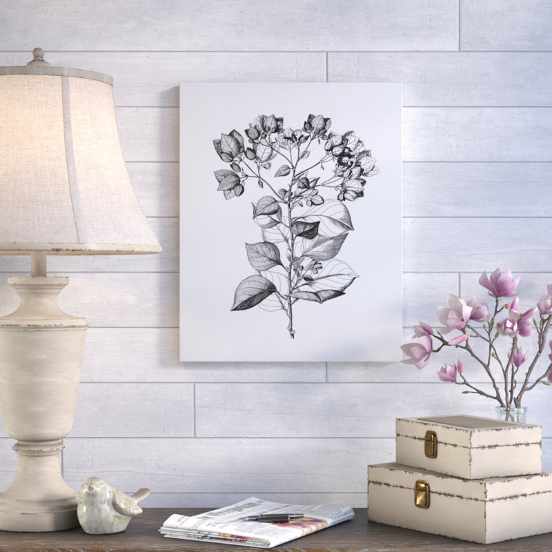 Gracie Oaks Botanical Black And White I Graphic Art Print On