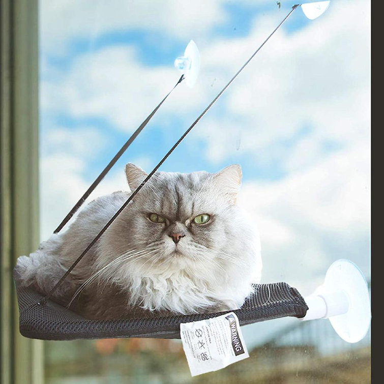 suction cup cat shelf