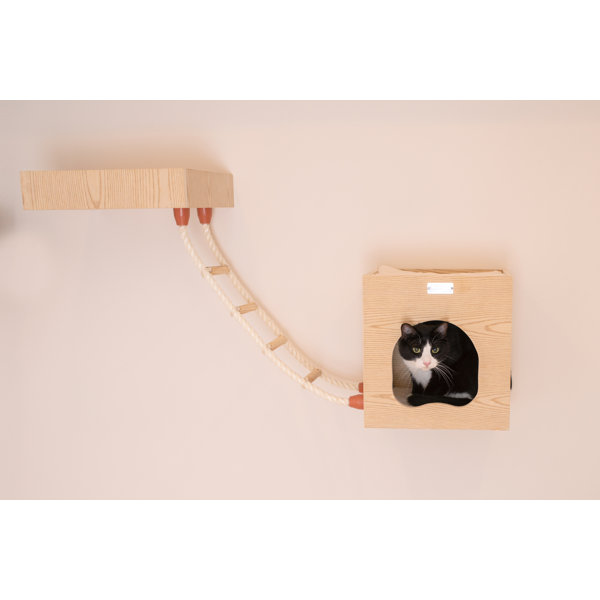 cat ladders for sale