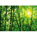 Enchanted Forest Wall Mural Wayfair