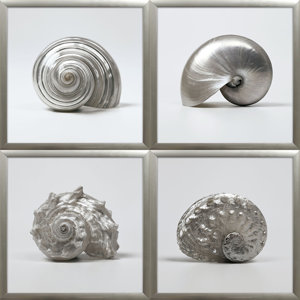 'Beach Treasures' by Assaf Frank 4 Piece Framed Photographic Print Set