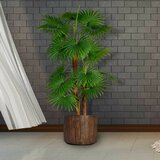 Indoor Decorative Trees Wayfair