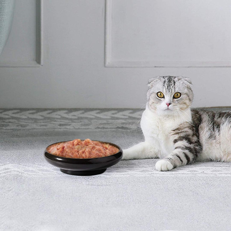 wide shallow cat bowls