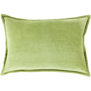 sage velvet pillow