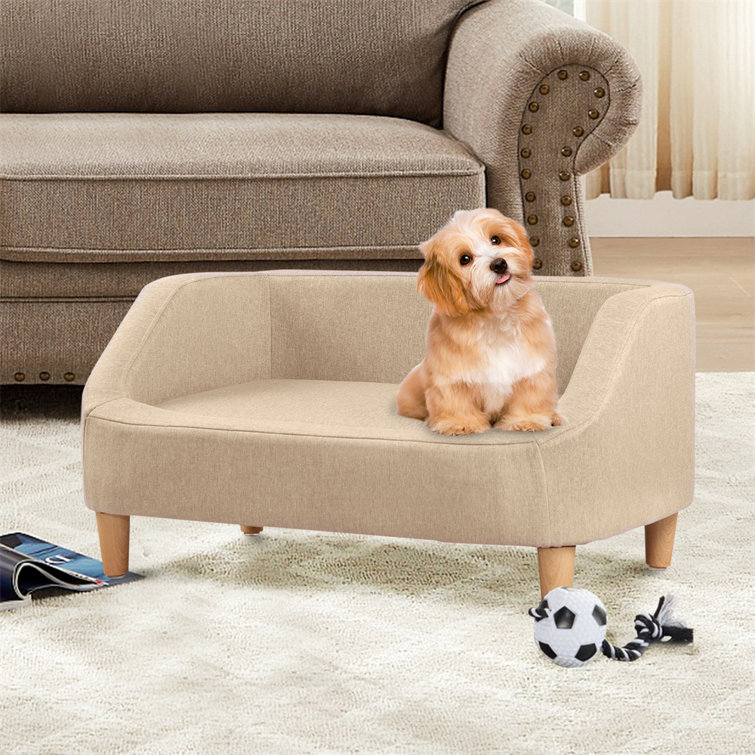 wayfair pet sofa
