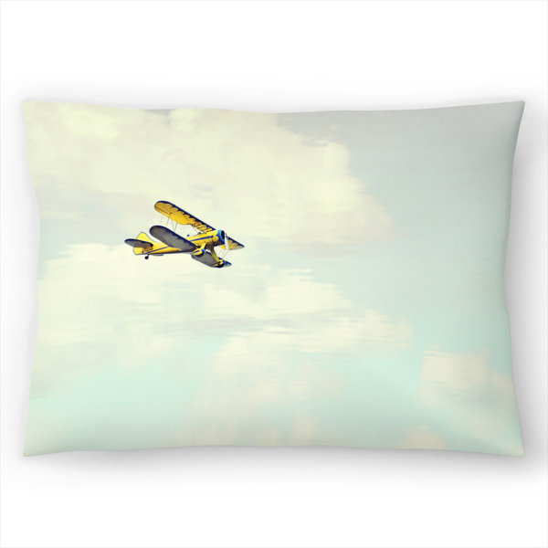 lumbar pillow for plane