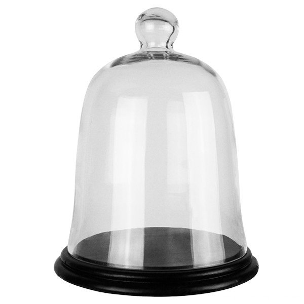 Charlton Home Rubi Dome Bell Jar Glass Terrarium Wayfair