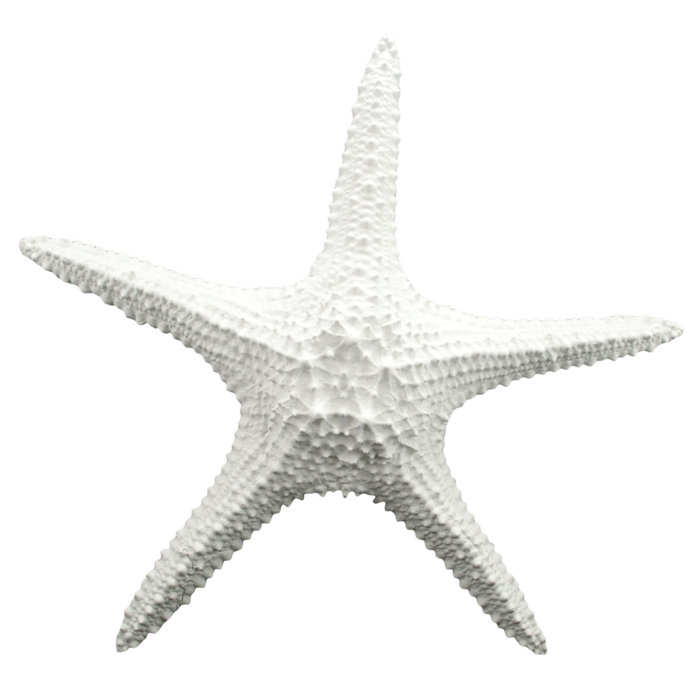 Starfish Wall Décor Starfish Wall Décor