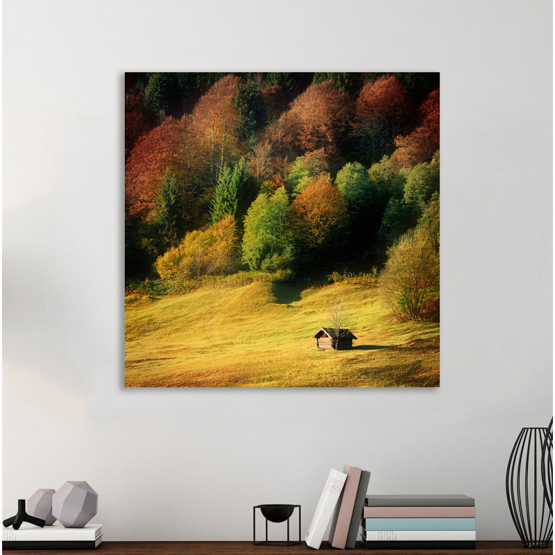 Millwood Pines Nature Art Color Ii Acrylic Painting Print On