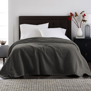 50x60 Red Blue Solid Color Microplush Blanket Luxury Travel Fleece Throw Sofa Couch Bed Blankets Velvet Plush Cozy Reversible Bedding Hypoallergenic Warm Comfy Lightweight Extra Long Polyester 50x60 Red Blue Solid Color Microplush Blanket Luxury Travel Fleece Throw Sofa Couch Bed Blankets Velvet Plush Cozy Reversible Bedding Hypoallergenic Warm Comfy Lightweight Extra Long Polyester