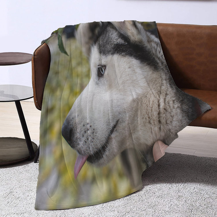 husky throw blanket