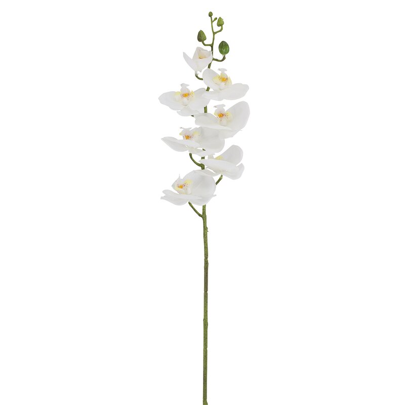 The Seasonal Aisle Artificial Orchid Stem Wayfair Co Uk