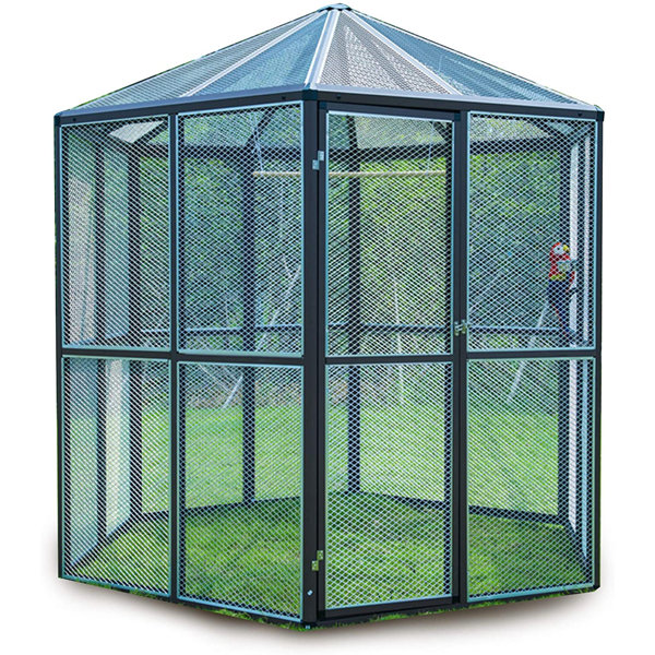 Curated visual reference: Tucker Murphy Pet Talis Large Deluxe Bird Cage Backyard Pet Photo Inspiration
