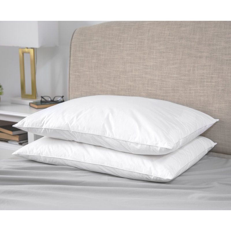 Alwyn Home Archibald Soft Down And Feather Standard Pillow