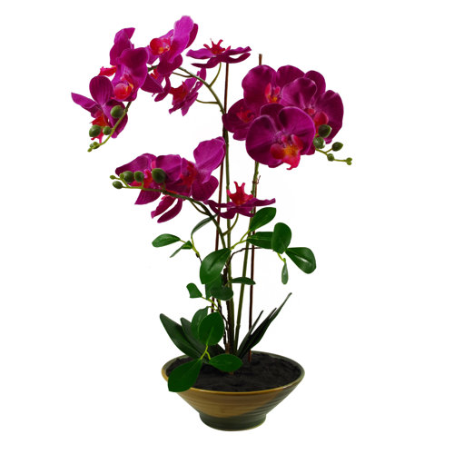 The Seasonal Aisle Orchid Centerpiece in Planter & Reviews | Wayfair.co.uk