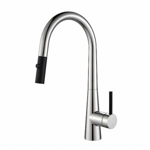 Crespou2122 Single Handle Pull Down Kitchen Faucet