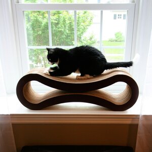 Ultimate Cat Scratcher Lounge & Bed