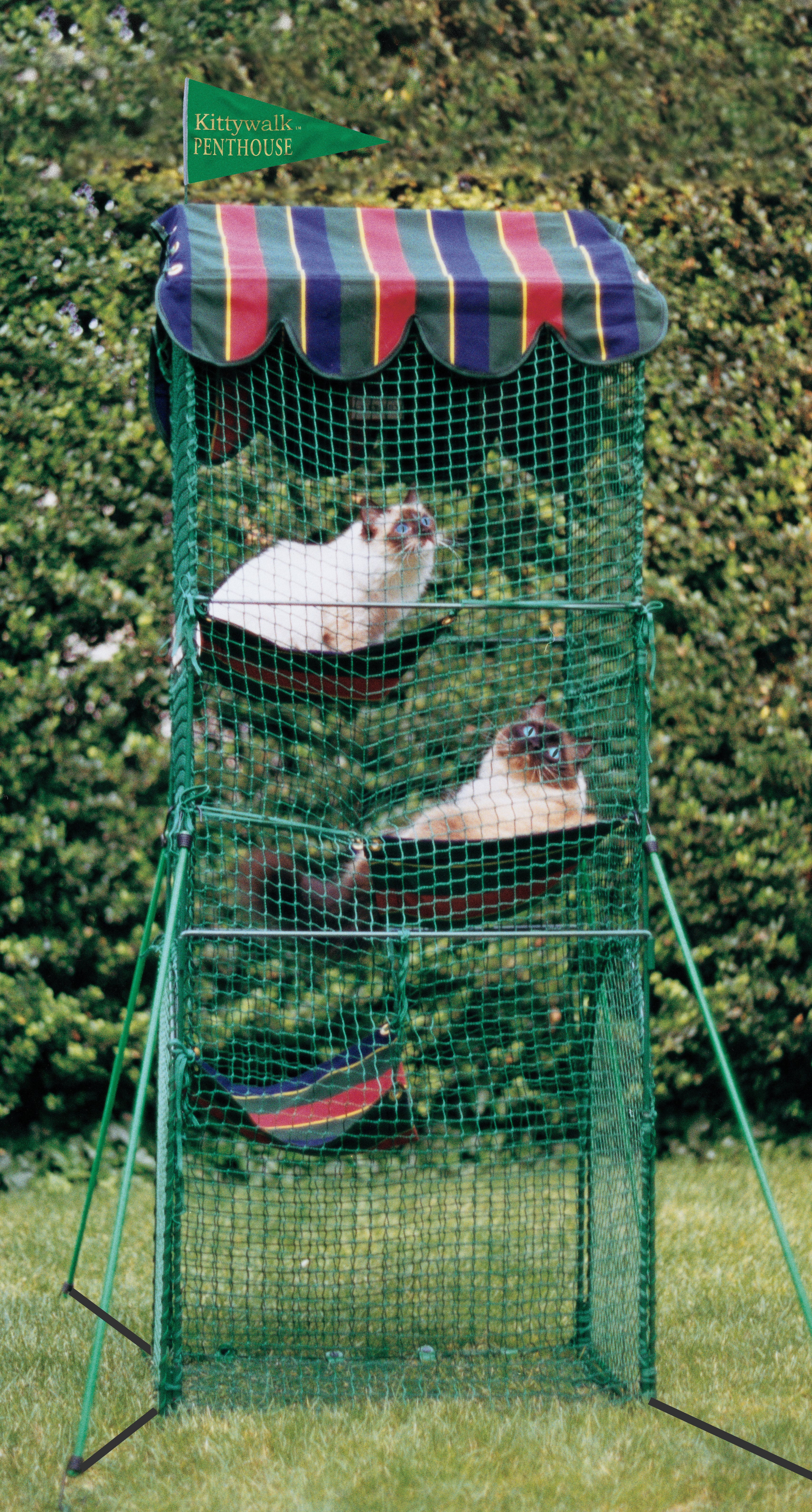 Kittywalk Systems Outdoor Pet Playpen Reviews Wayfair