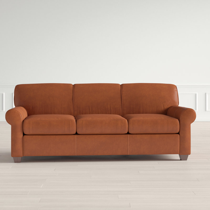 Jennifer Genuine Leather 81 Rolled Arm Sleeper Sofa Bed Reviews