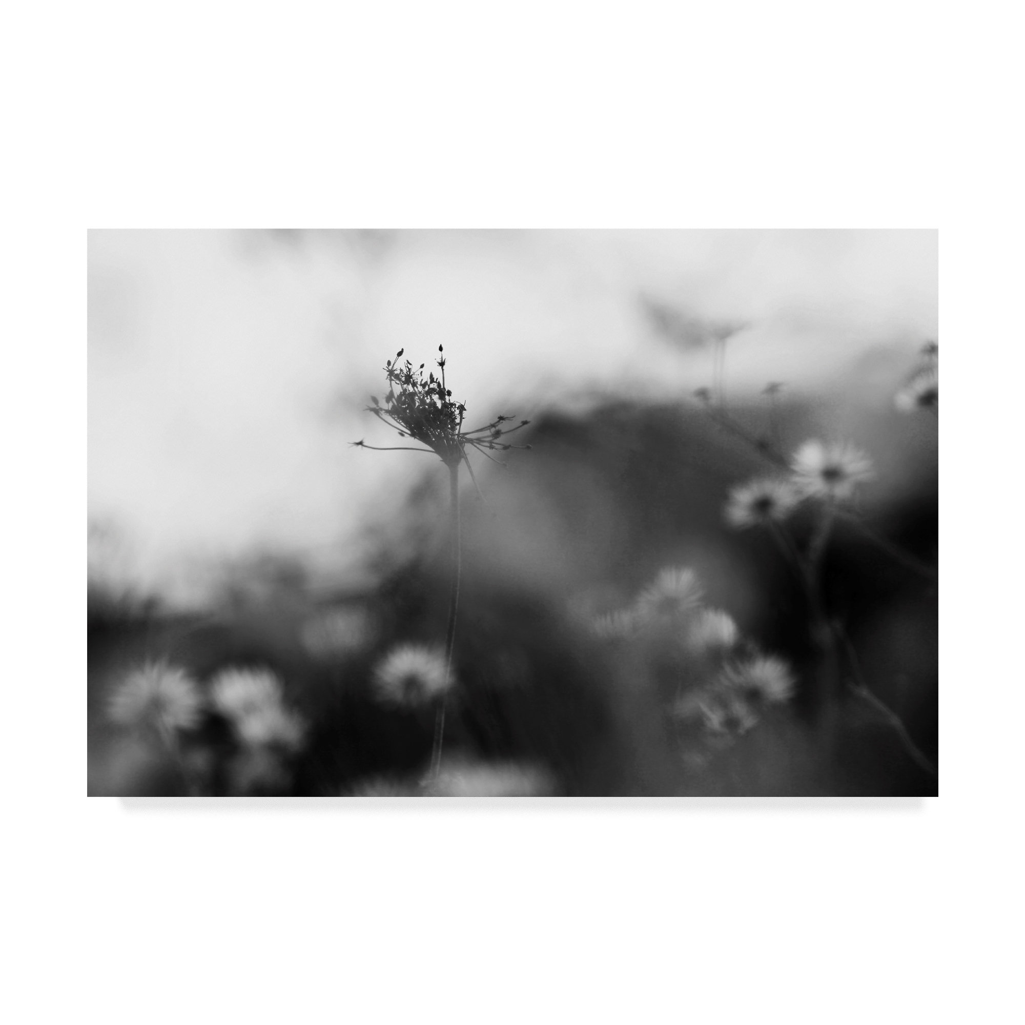 Ebern Designs Black And White Moods Graphic Art Print On Ebern Designs Black And White Moods Graphic Art Print On