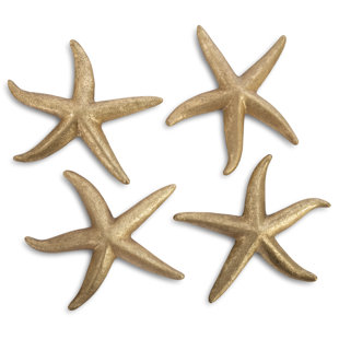 Shells And Starfish Wall Decor Wayfair 4 Piece Starfish Wall Decor Set