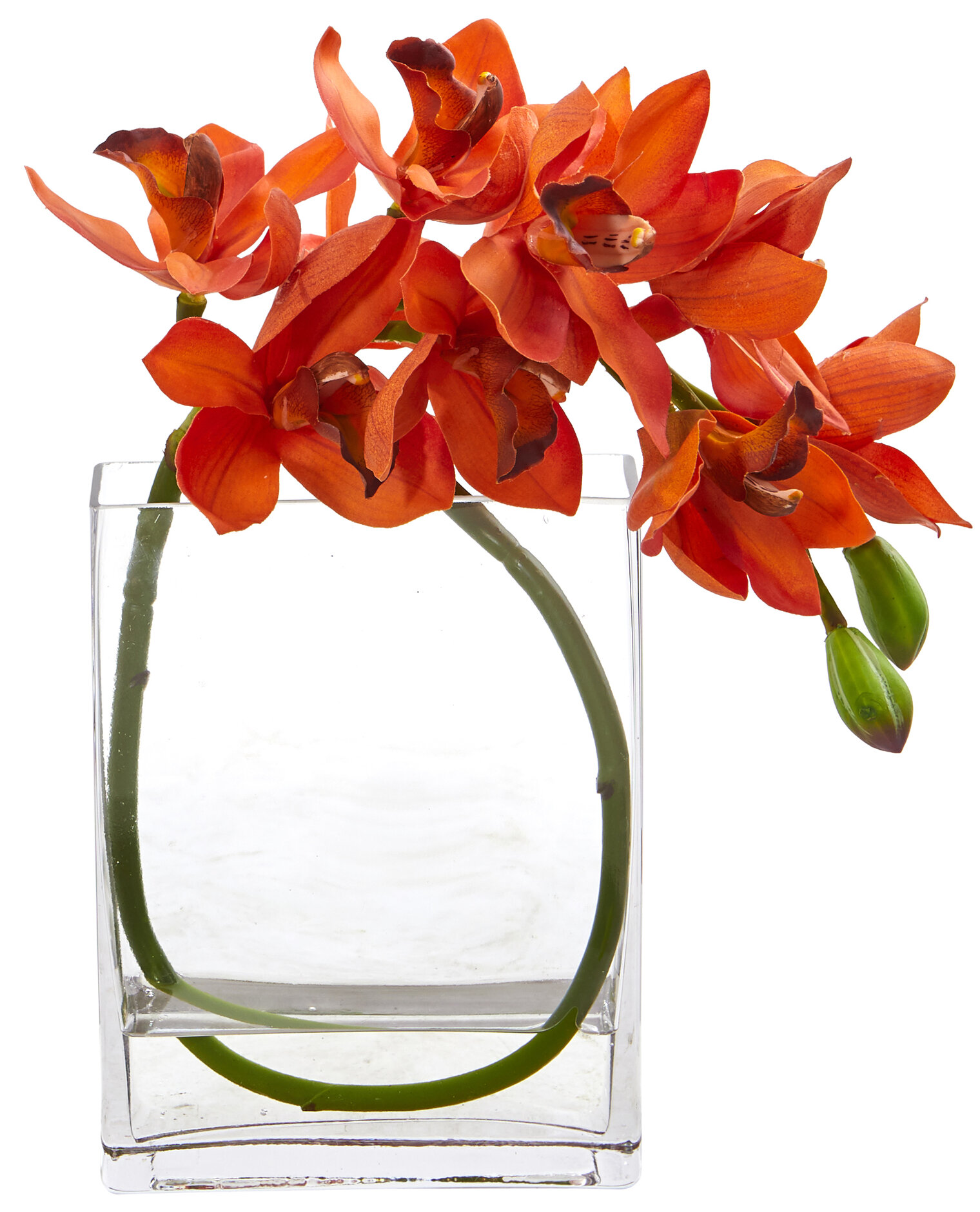 House Of Hampton Artificial Cymbidium Orchid Floral Arrangement In Vase Wayfair