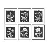 Gallery Wall And Wall Art Sets Traditional Framed Art You Ll Love