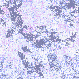 Purple Spot Removable 5' x 20