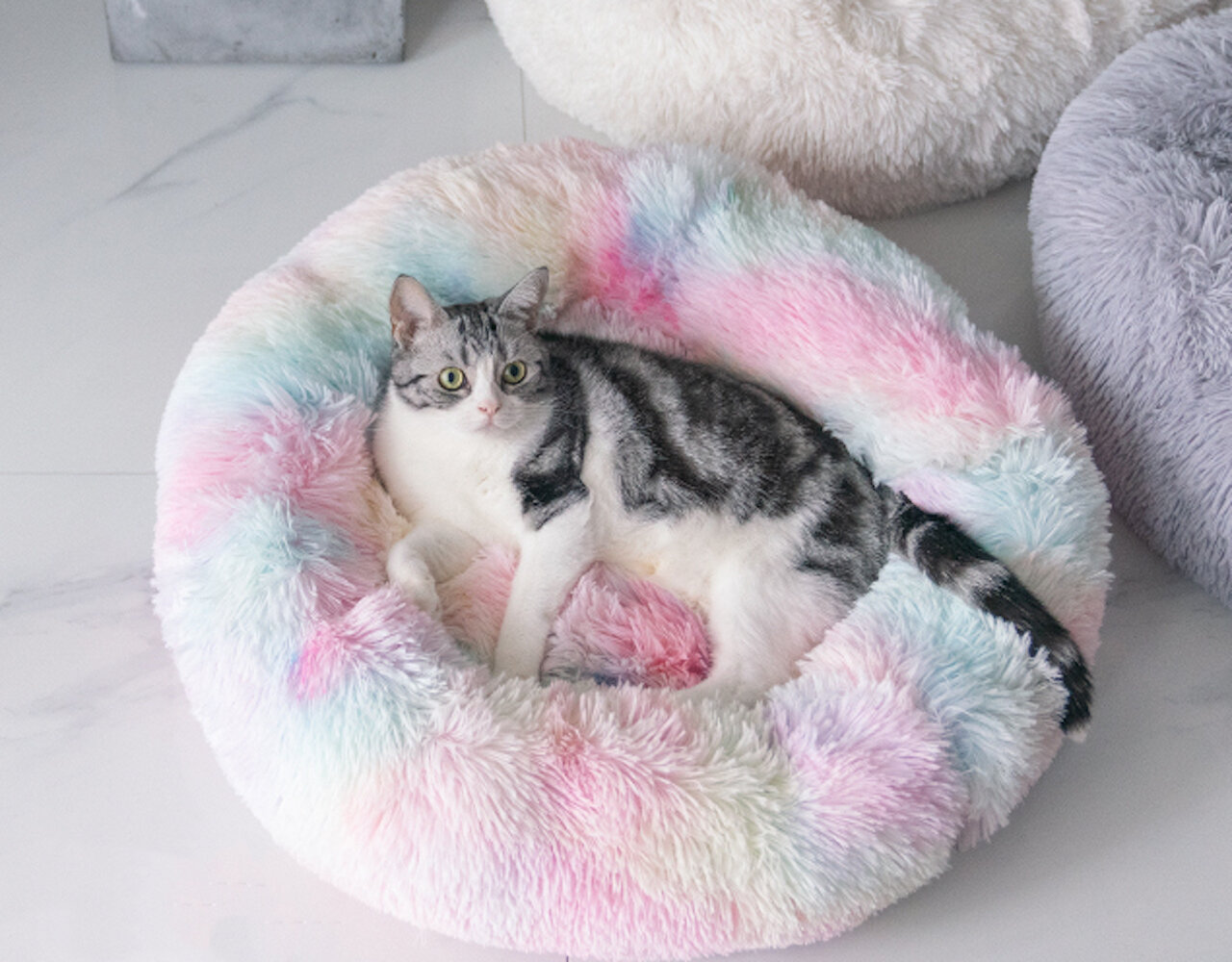 comfortable cat bed