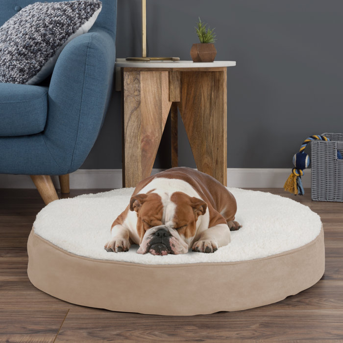 Deena Round Sherpa Memory Foam Pet Pillow Reviews Joss Main