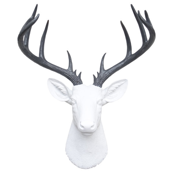 Modern Faux Taxidermy Decor Allmodern