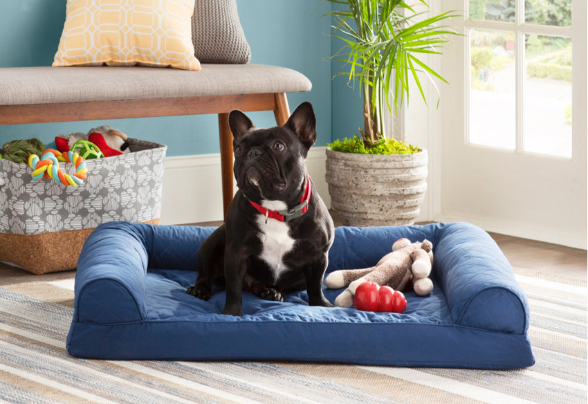 Dog Beds You Ll Love In 2020 Wayfair